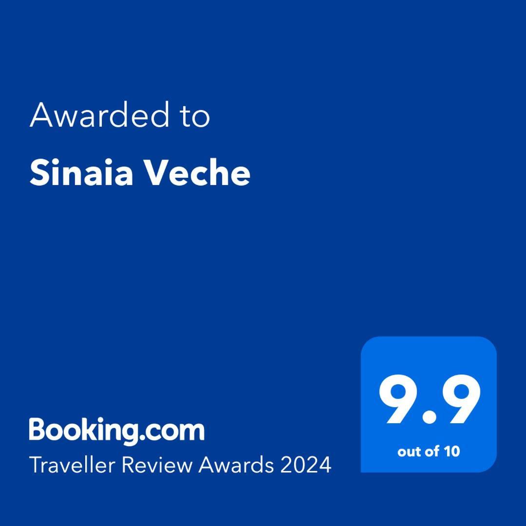 Sinaia Veche Villa Kültér fotó